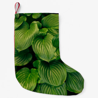 Meia De Natal Pequena Planta verde
