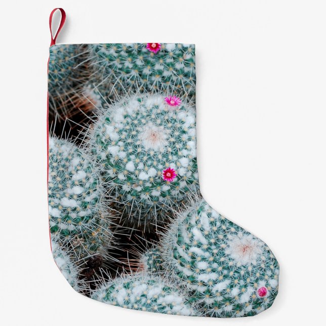 Meia De Natal Pequena Plantas de Cactus com Flores Rosa Pequenas (Frente)