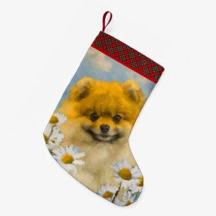 Meia De Natal Pequena Pomerânia em Pintura de Dísias - Arte de Cachorro