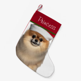 Meia De Natal Pequena Pomeraniano com Santa Hat - Pequeno Natal