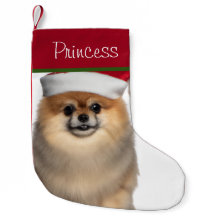 Pomeraniano com Santa Hat - Pequeno Natal