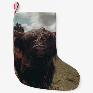 Meia De Natal Pequena Prados negros e pastagens de vaca escocesa
