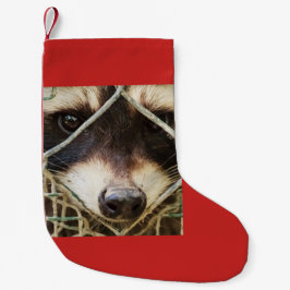 Meia De Natal Pequena raccon no natalino Stocks