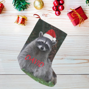 Meia De Natal Pequena Raccoon Vestindo Red Santa Hat com Nome