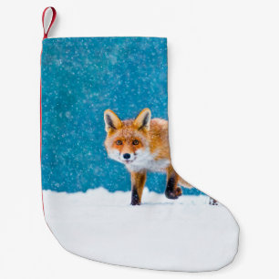 Meia De Natal Pequena Raposa no inverno. Raposa vermelha, Vulpes vulpes,