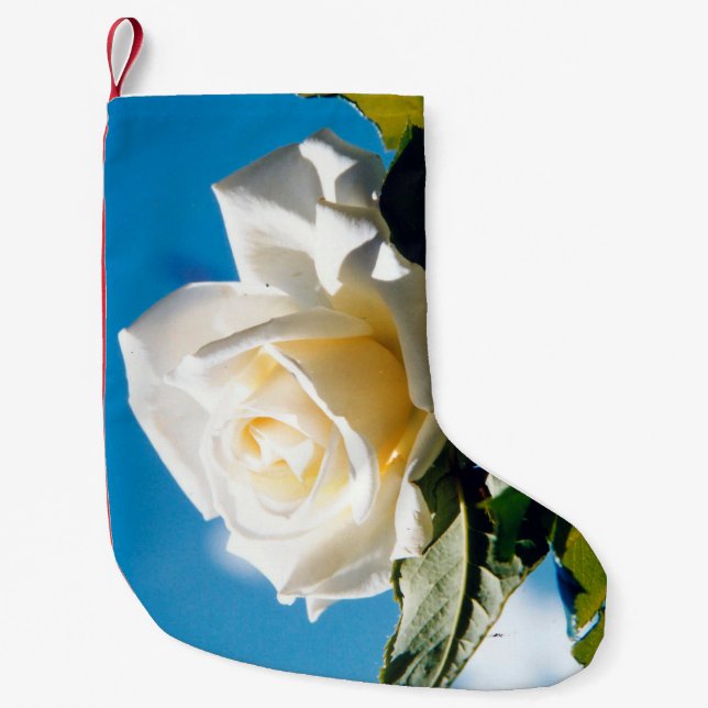 Meia De Natal Pequena Rosa branca, céu azul (Frente)