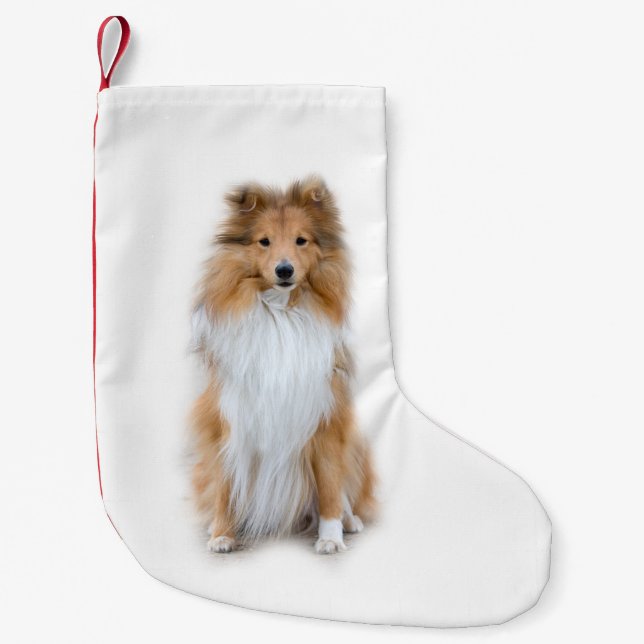 Meia De Natal Pequena Sheltie Shetland Sheepdog (Frente)