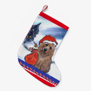 MEIA DE NATAL PEQUENA TERRIER AUSTRALIANO