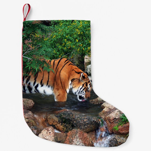 Meia De Natal Pequena Tigre de Bebendo de queda (Frente)
