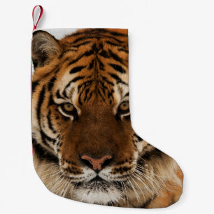 Meia De Natal Pequena Tiro de Cabeça do Tigre Siberiano