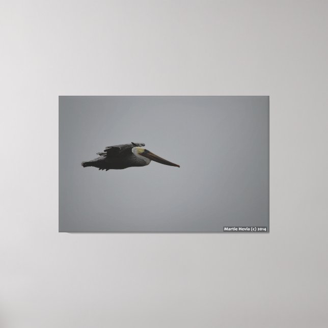 Meia Lua Bay Fierce Pelican III - Canvas (Frente)