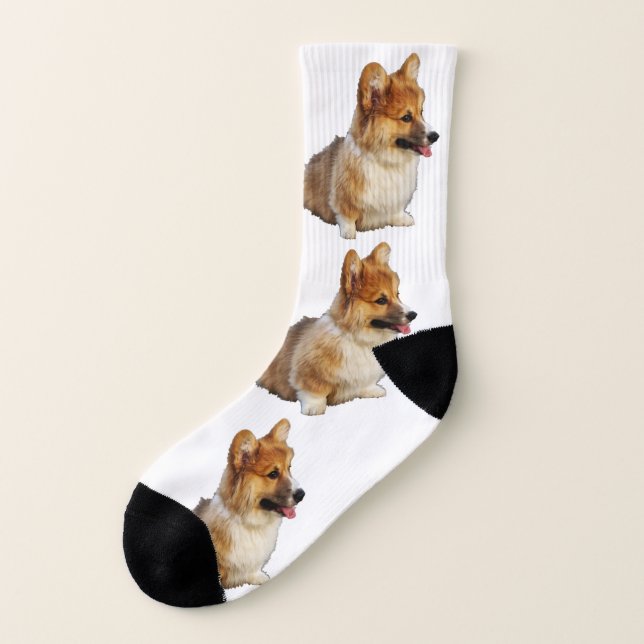Meias eu amo Corgis (Direita - Interior)