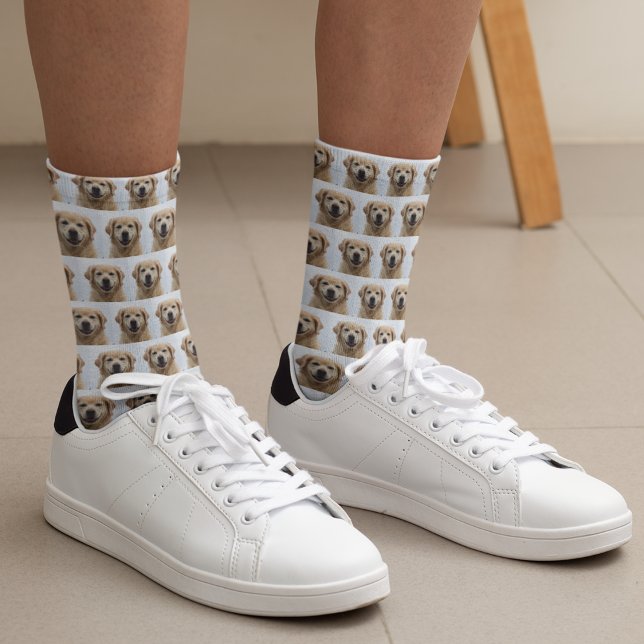 Meias Ouro de Fotografia Canina Puppy Pet (Dog Photo Golden Retriever Puppy Pet Socks)