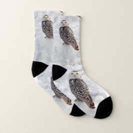 meias Snowy Owl