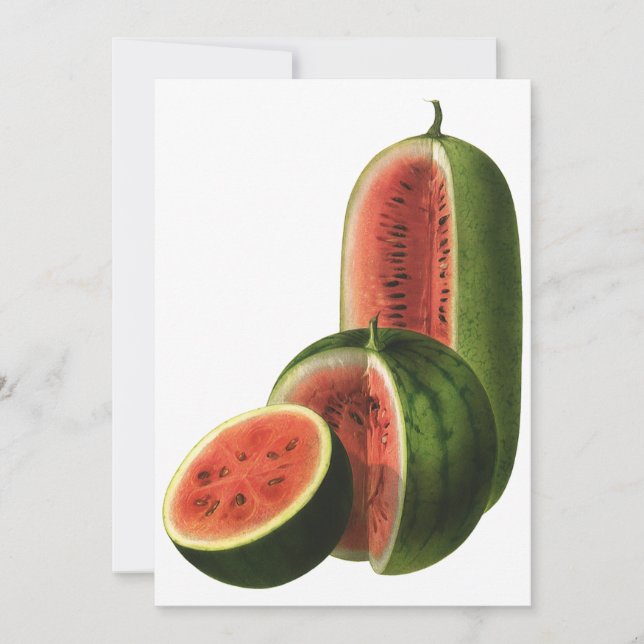 Melancias Vintage Altas Redondas, Alimento Orgânic (Frente)