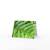 Mele Kalikimaka Feriado Cartão de Natal Feliz