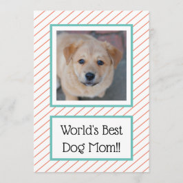 Melhor Cachorro Mãe Coral Striped