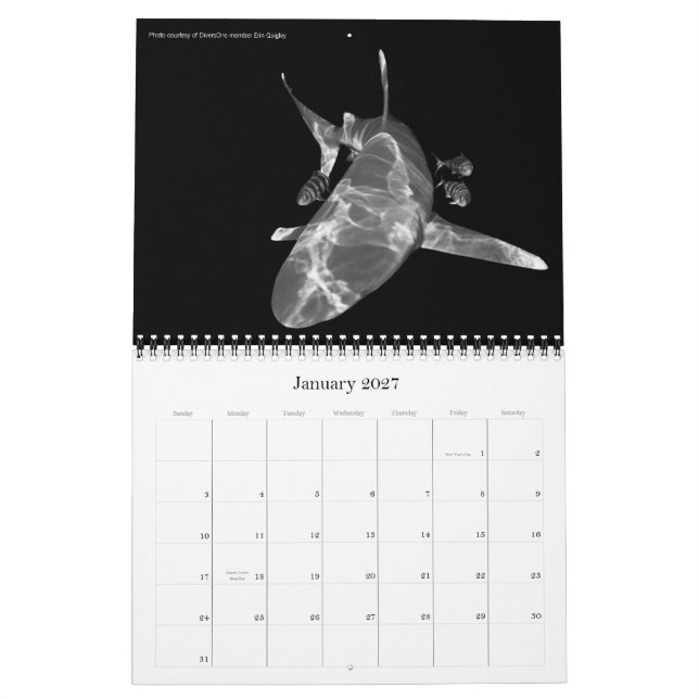 Melhor Calendário De 2010 Para DiversUma Fotos Sub (Jan 2027)