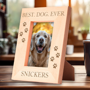 Melhor Cão Nunca