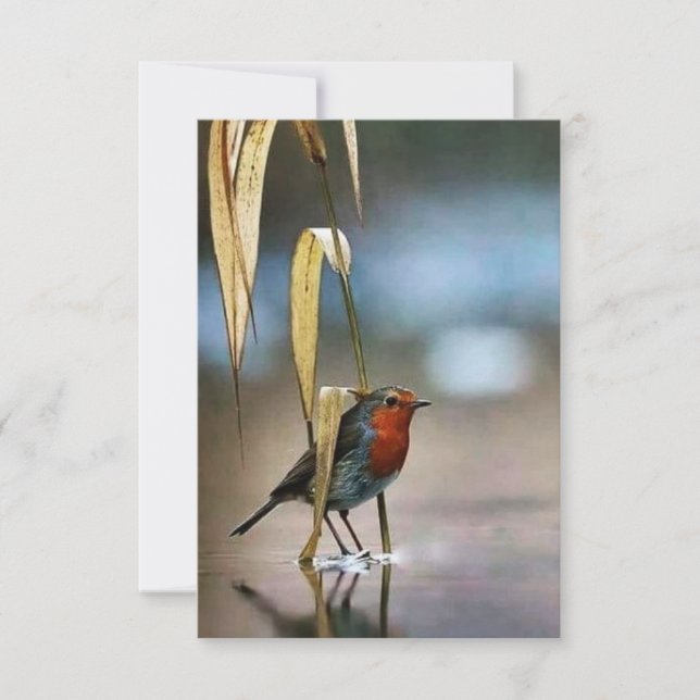 Melhor Cartões de agradecimentos plano de 3,5" x 5 (Frente)