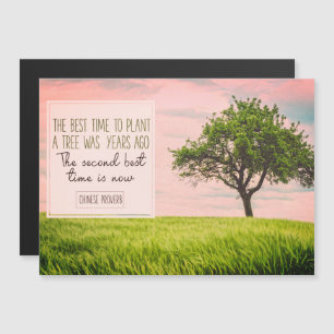 Melhor Hora De Plantar Uma Árvore