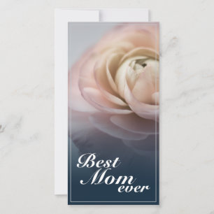 Melhor Mãe do Mundo com Grande Rosa Rosa