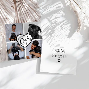 Melhor Pai de Cachorro Colagem de Fotografias