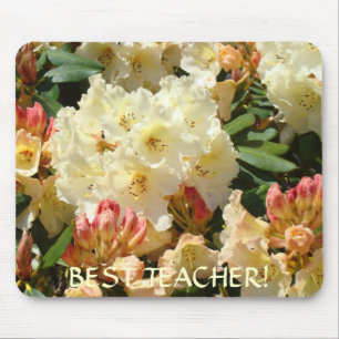 MELHOR PROFESSOR Presente Natal Rhodies Mousepad
