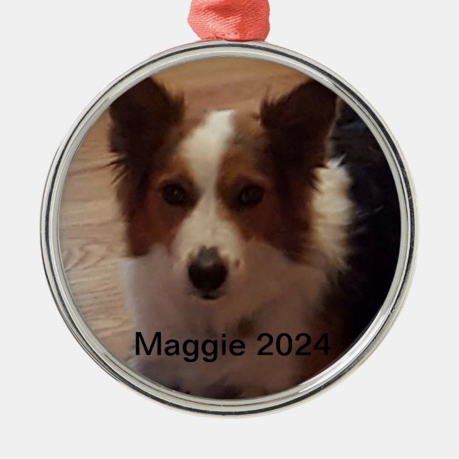 Melhores Amigos para Ornamentos de Pet Personaliza (Frente)