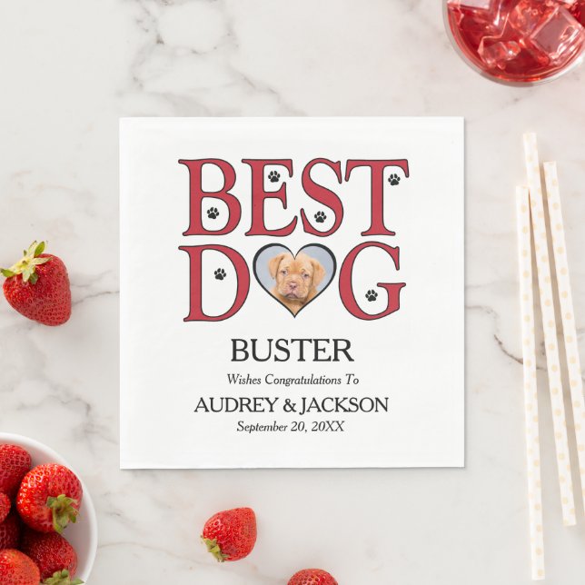Melhores Guardanapos de Casamento para Cães com Fo (Insitu)