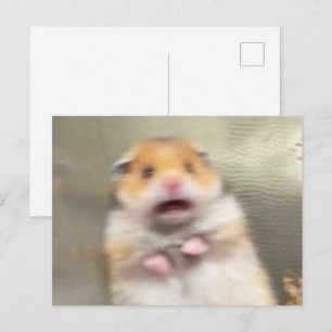 Meme de Hamster Assustado em Cartão Postal