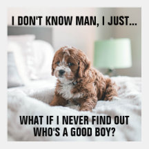 Meme Filhote de cachorro triste engraçado na cama