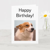 Memória Corgi De Sorriso De Cartão Dobrado