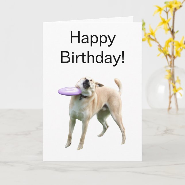 Memória De Cachorro De Frisbee De Cartão Dobrado (Flor Amarela)