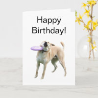 Memória De Cachorro De Frisbee De Cartão Dobrado