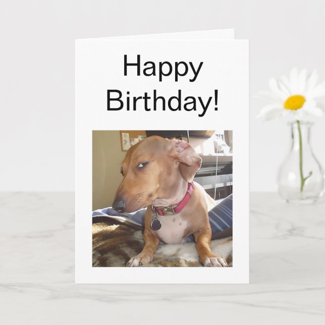 Memória De Cachorro Do Lado Do Cartão Dobrado (Planta pequena)