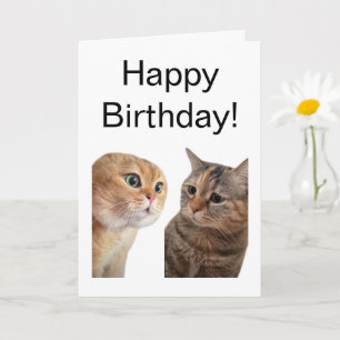 Memória de conversação de cartões dobrados