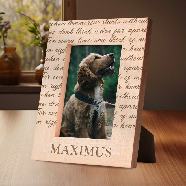 Memorial Amava Além Das Palavras (Criador carregado)