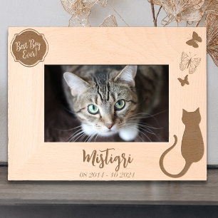 Memorial de Amor de Gato