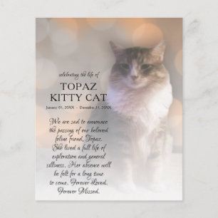 memorial de fotografias do lado direito