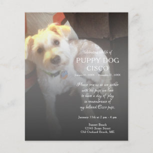 memorial de fotografias do lado esquerdo