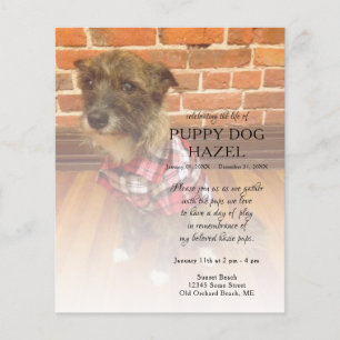 memorial de fotografias do lado esquerdo