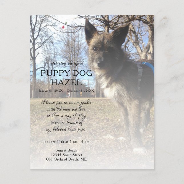 memorial de fotos do lado direito (Frente)