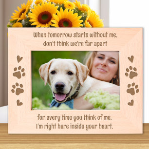 Memorial Do Cachorro Foto Personalizada De Pet Woo
