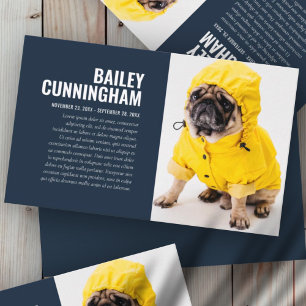 Memorial Funeral Em Adoro Cartão com fotos Pet De