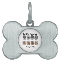 Memórias da Vida do Pet Modelo de Tributo de Colag