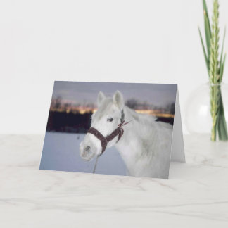 Menção honrosa da foto do cartão de Natal 2005 da