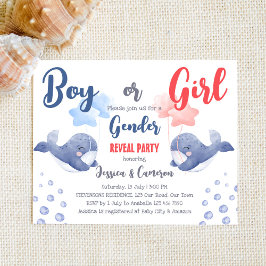 Menina ou sexo de baleia revela convite orçamentár