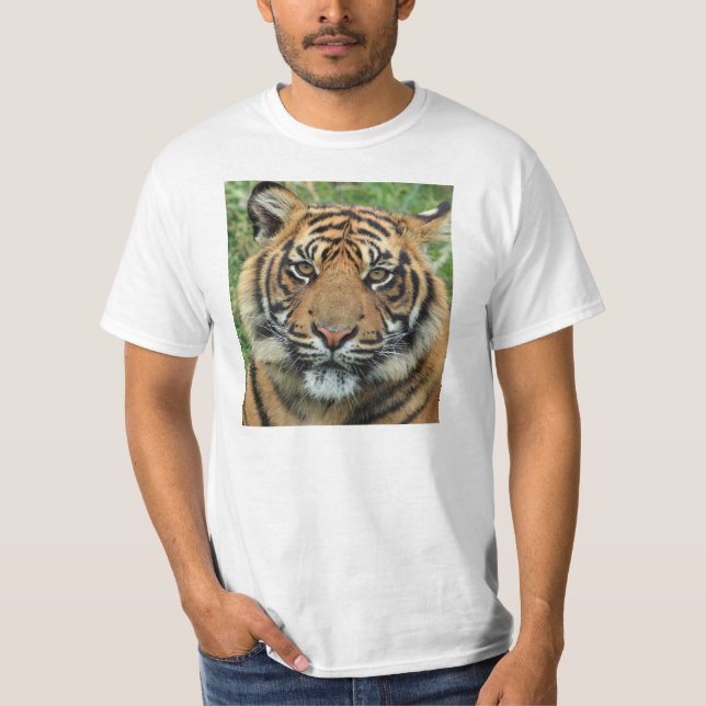 Mens Tiger T-shirts (Frente)
