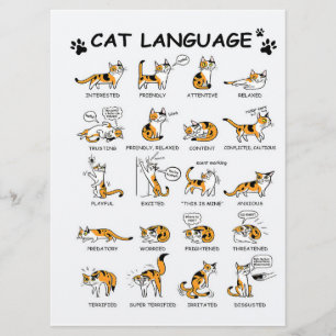 Menu Idioma de Gato, Gatinho Gato Engraçado, Ideia de